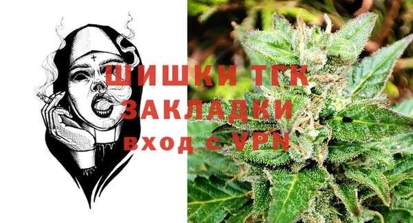 индика Богородицк