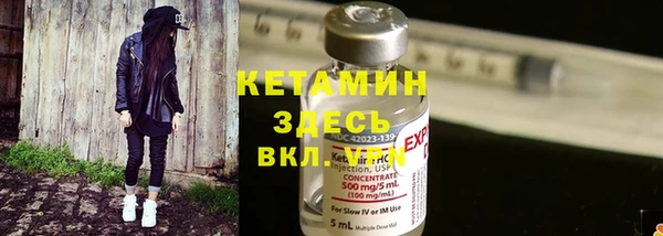 индика Богородицк