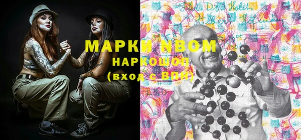 индика Богородицк
