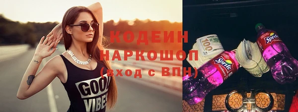 индика Богородицк