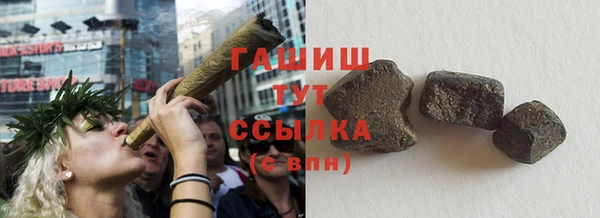 индика Богородицк