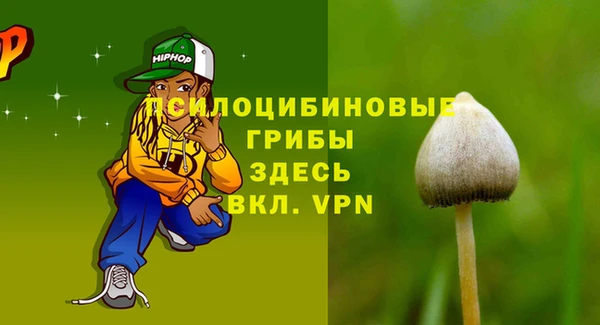индика Богородицк