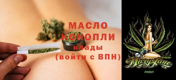 индика Богородицк
