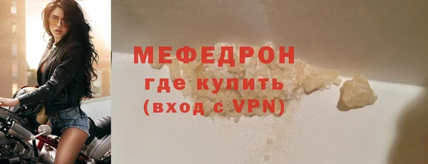 индика Богородицк