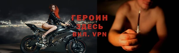 индика Богородицк