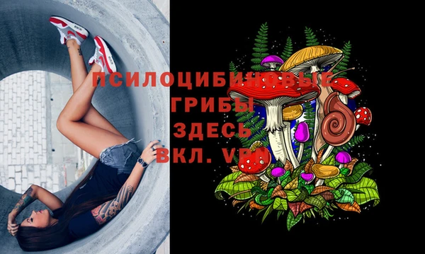 индика Богородицк