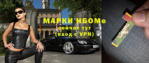индика Богородицк