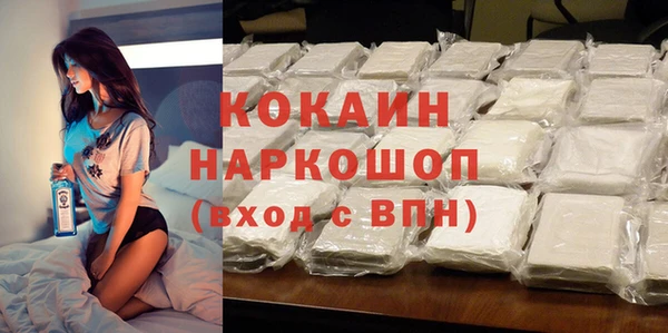 индика Богородицк