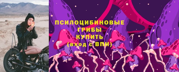 индика Богородицк