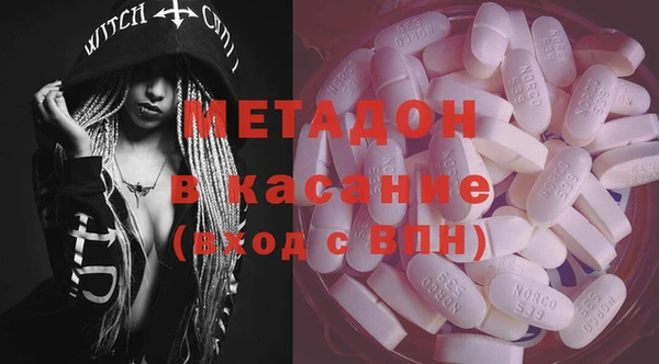 индика Богородицк