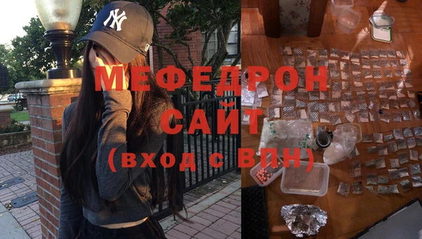 индика Богородицк